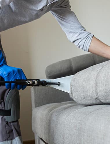 Best Couch Cleaning In Bells Creek
