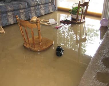 Expert Flood Damage Restoration Drewvale