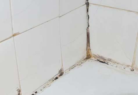 Tile and Grout Cleaning Moorang