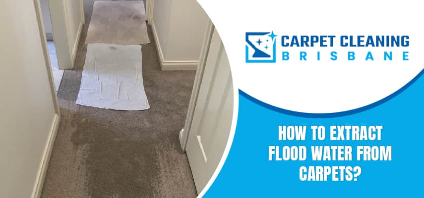 Flood Water From Carpets